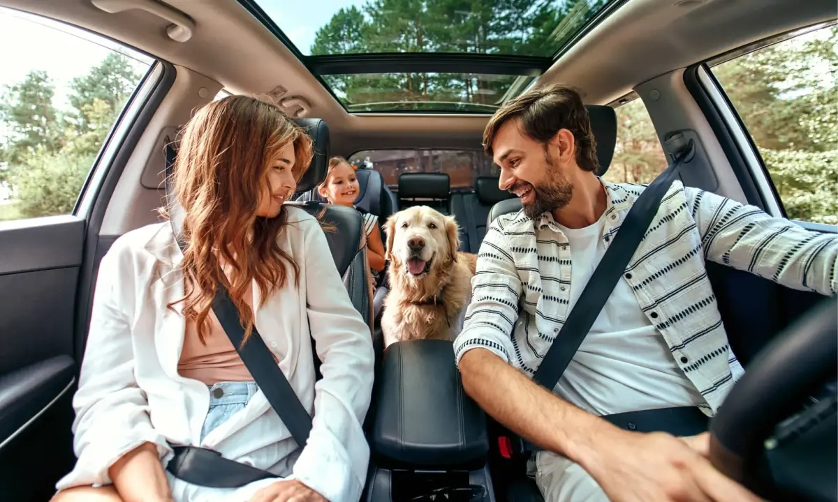 Car rental hero image